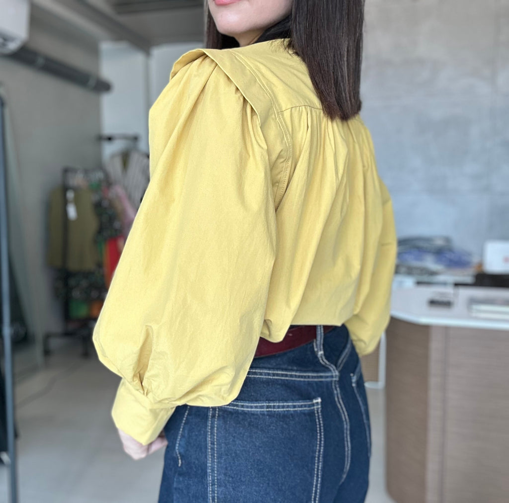Balloon Sleeve Blouse