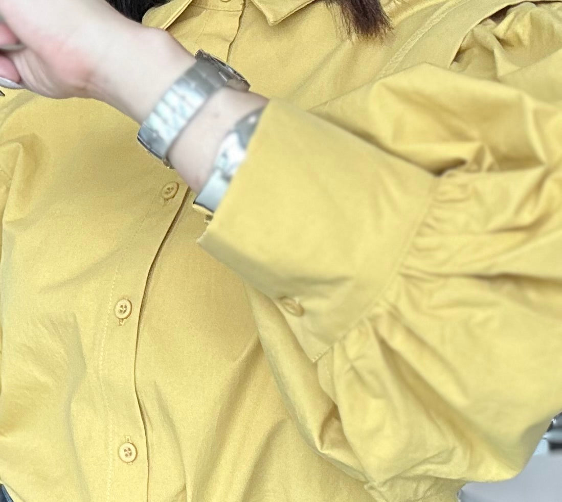 Balloon Sleeve Blouse