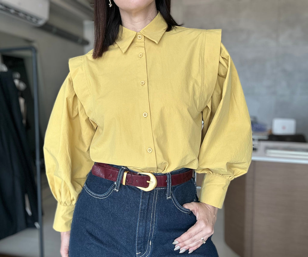 Balloon Sleeve Blouse