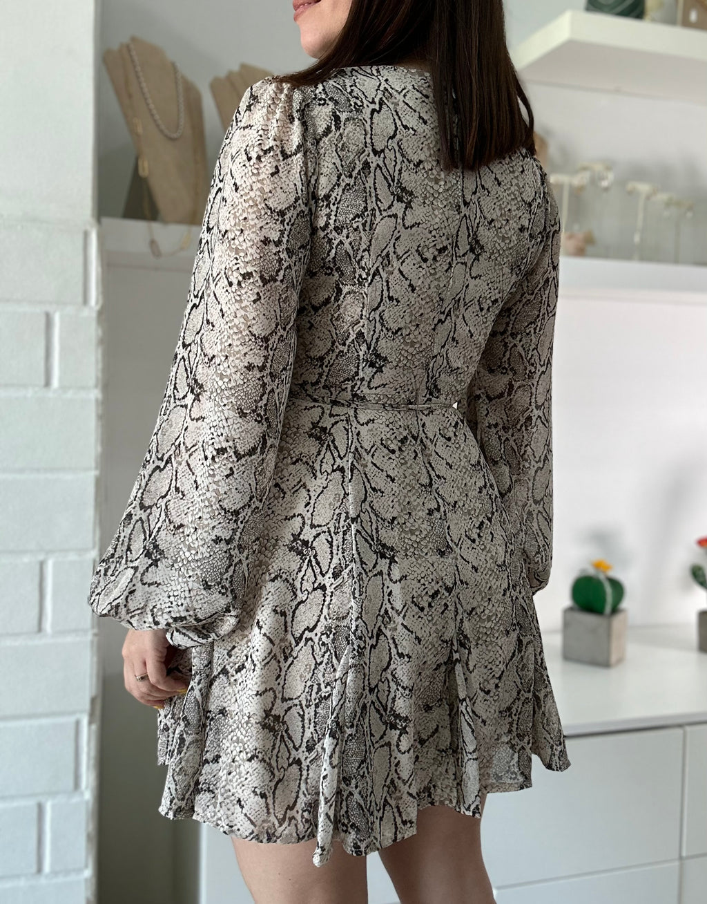 Snake Print Dress