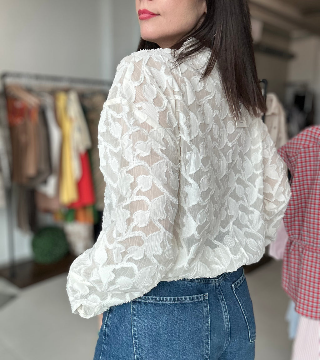 Semi Sheer Blouse