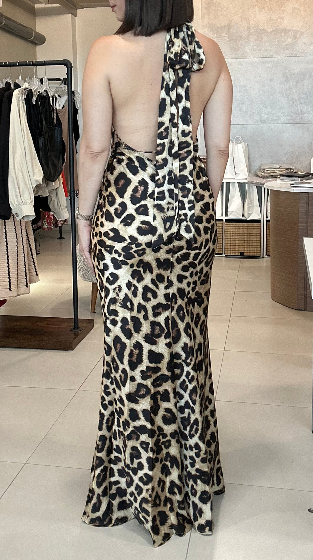 Stunning Silhouette Dress