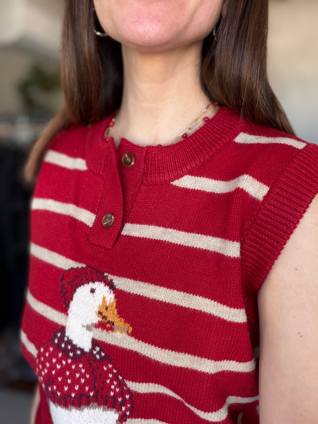 Duck Sweater Vest